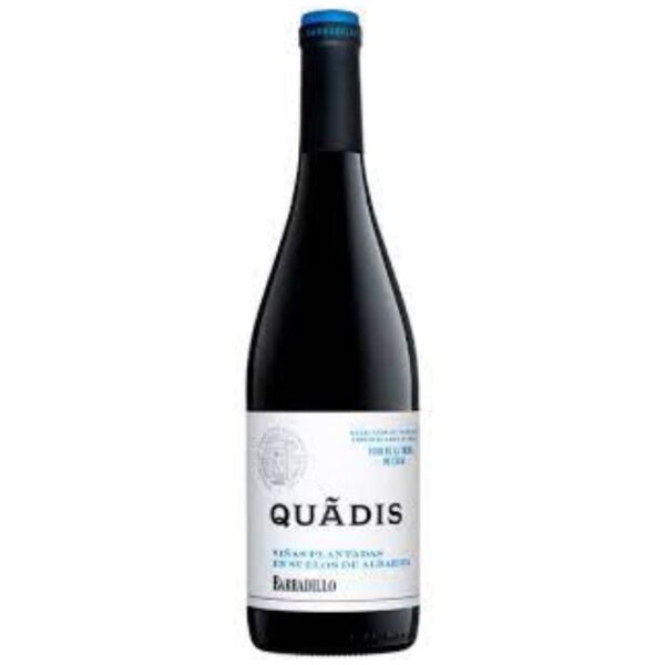 QUADIS VINO DE LA TIERRA DE CÁDIZ VIN JEUNE, 75CL